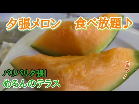 高級ブランド【夕張メロン】の食べ放題へ！