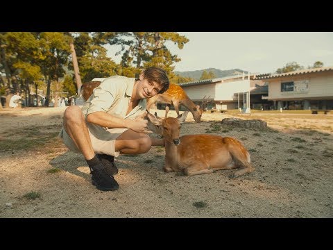 Flume - Asia 2019