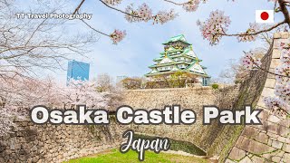 Osaka Castle Park travel, Japan / One of the best places to visit during the cherry blossom season