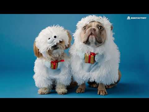 [Playlist] A playlist of emotional pet vlog background music