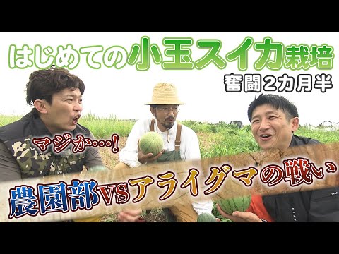 【農園部20】初めての小玉スイカ栽培 約2カ月半の道のり! / 秋に向けてキュウリの簡単な植え方!