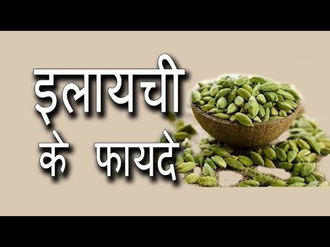 रोज खाए दो इलायची भगाए बीमारीको||इलायची केफायदे jadi buti