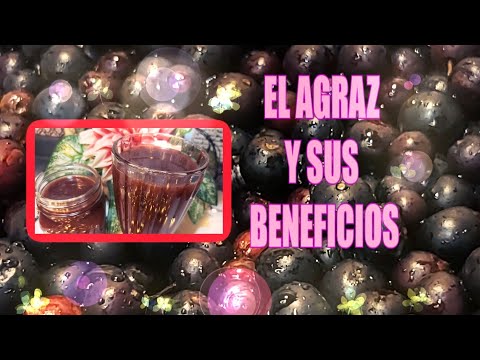 ✅ AGRAZ PROPIEDADES jugo de Agraz ( defensas de hierro) 👉🏽Para que sirve 🔴fruta milagrosa.