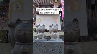 縁結びや開運招福✨招き猫発祥の地✨今戸神社さんの石なで猫さん✨ #開運 #japan