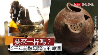 以色列「復活」5000年酵母釀酒 釀酒師：味道非常...