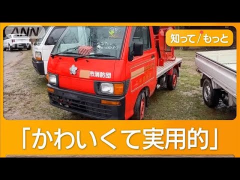 「日本の軽トラ」なぜ？25年前の車が95万円　買いあさる外国人バイヤー、海外で争奪戦【もっと知りたい！】【グッド！モーニング】(2024年12月24日)