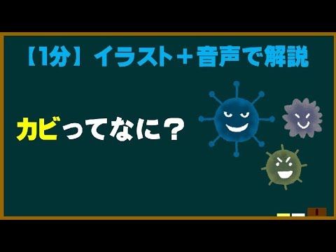 【1分】  カビの正体ってなに？  【ためになる身近な科学】