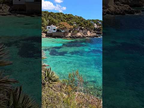 Cala Gat 🩵 Cala Ratjada 🩵 Mallorca 🩵 #majorca #gato #mallorca