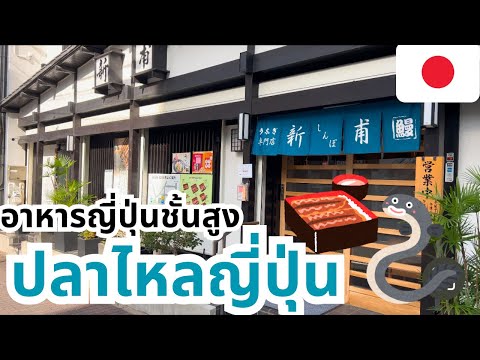 #60 【🇯🇵 ญี่ปุ่น】พักญี่ปุ่น  No4 ร้านปลาไหลชื่อดัง  うなぎの新甫へ行ってきた