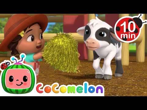 Nina meets Lola the Cow | Nina Time | CoComelon Kids Songs & Nursery Rhymes