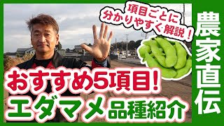 家庭菜園や農園の枝豆栽培でおすすめ品種５選！エダマメ農家さんに聞いた味や収量など評価別におすすめの枝豆品種を徹底解説！【農家直伝】