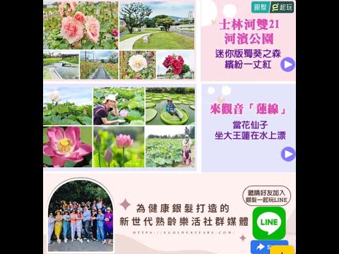 士林河雙21河濱公園｜迷你版蜀葵之森！繽紛一丈紅種滿河濱步道，順遊雙溪濕地、單車遨遊外雙溪賞河岸風光