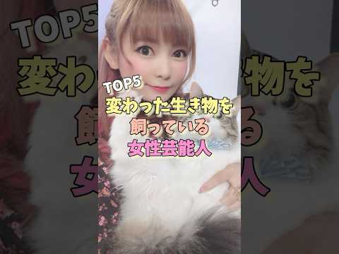 変わった生き物を飼っている女性芸能人TOP5 #伊原六花 #橋迫鈴 #新垣結衣