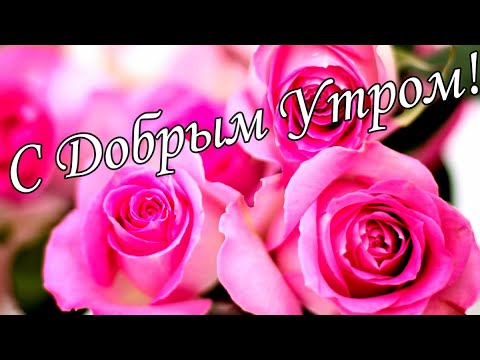 С ДОБРЫМ УТРОМ 11 Января!🌼Желаю Самого Доброго Солнечного Утра!🌼  Шикарная Музыкальная открытка 🌼