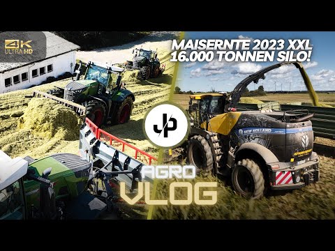 Maisernte 2023! 3x Fendt 900 auf dem Silo! Und spezial Design! || JP Agrar