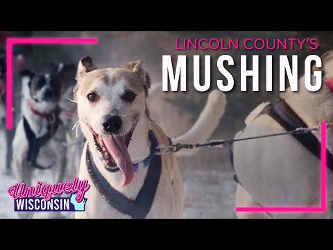 Wisconsin Musher & the Love for Their Dogs | Beauty Behind Dog Sledding | Uniquely Wisconsin