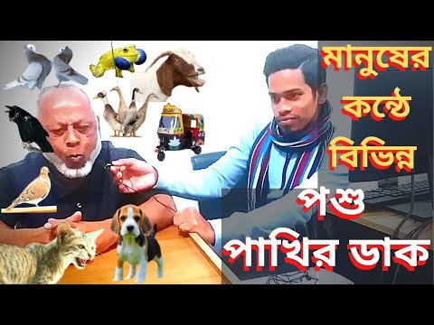 মানুষের কন্ঠে বিভিন্ন পশু পাখির ডাক | Animals Sound in a human voice | @Alfa Tech IT Care