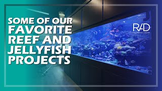 A BRIEF JOURNEY THROUGH SOME OF OUR FAVORITE REEF AND JELLYFISH PROJECTS BY REEF AQUARIA DESIGN.