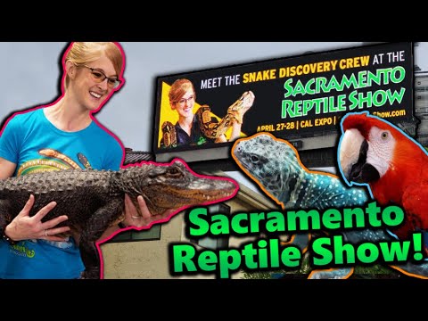 Attending the Sacramento Reptile Show!!