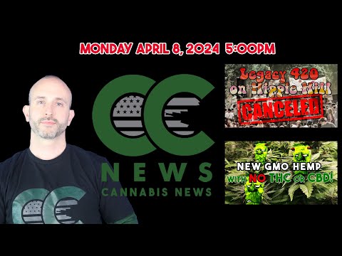 Cannabis News Update - "Hippie Hill 4/20 Cancelled??" and "A New Strain of Hemp"