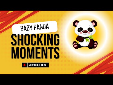 Baby Panda's Cartoon Adventures - The Adventures of the Cute Little Panda