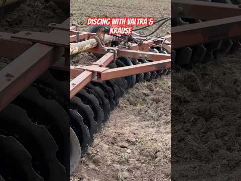 Valtra Tractor discing field to plant Sorghum Sudan grass #shortsvideo #agriculture