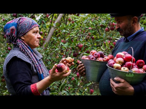 🍏 Homemade Apple Pavidlo: A Sweet Village Recipe 🍯🍂