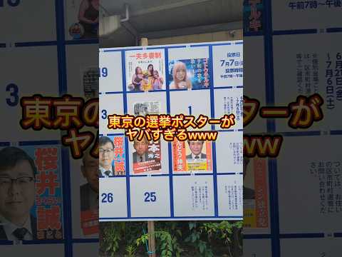 東京の選挙ポスターがやばすぎるwww