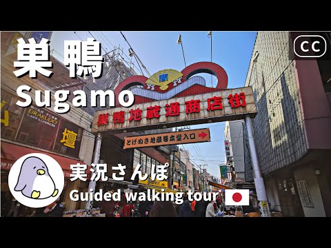 【CC】Sugamo Tokyo Live Walk - Japan Walking Guided Tours