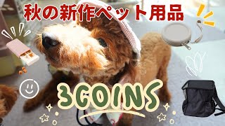 【3COINS】秋の新作ペットグッズ購入品レビュー/ペット用品使っている様子も紹介✨お散歩グッズ旅行にも