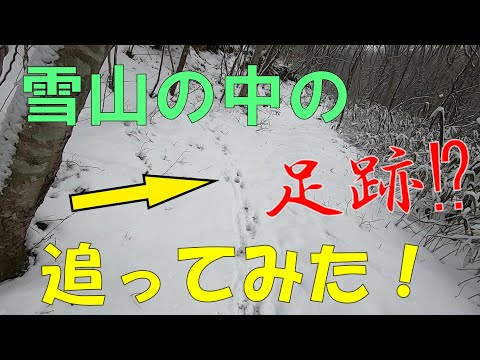 真冬の雪山の中を探検してみた⁉