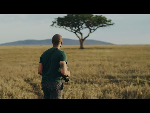 Process of shooting a Series for a Safari Company (Gear Used, Thought Process, Grading)