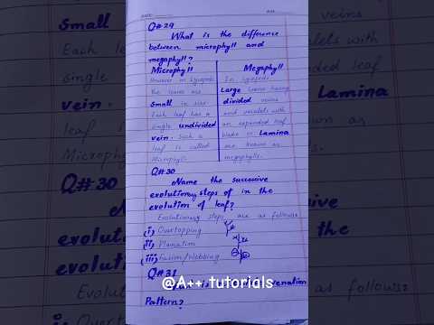 Difference b/w Micro phyll &  Mega Phyll | Evaluation of leaf#biology #shorts #study