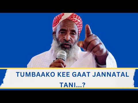 Tumbaako kee Gaat Jannatal Tani...?