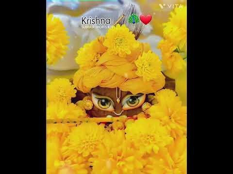 Krishna Lover status 🦚WhatsApp Stutas 💫 Krishna Bhajan 💝 #shorts #viral #trending #status