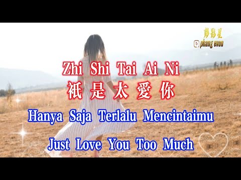 Zhi Shi Tai Ai Ni 只是太爱你 Terjemahan Indonesia Pinyin dan English Subtitle