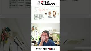 【 #国試1分道場 ・神経系】瞳孔括約筋を支配する脳神経はどれか　１．視神経　２．動眼神経　３．滑車神経　４．外転神経 #かずひろ先生 #解剖学