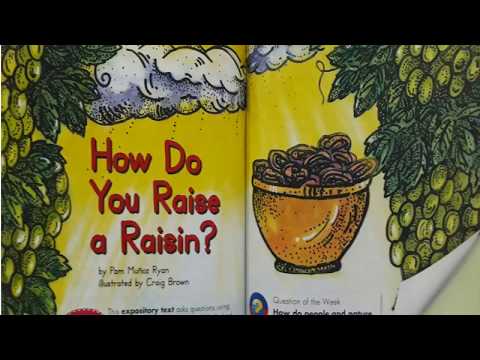 How to Raise a Raisin - Grade 3 - Reading Street