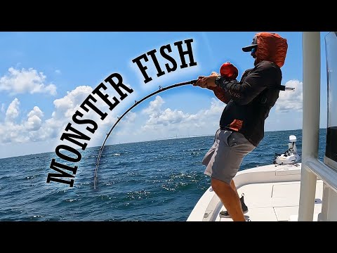 Fishing For Tampa Bay Reef GIANTS