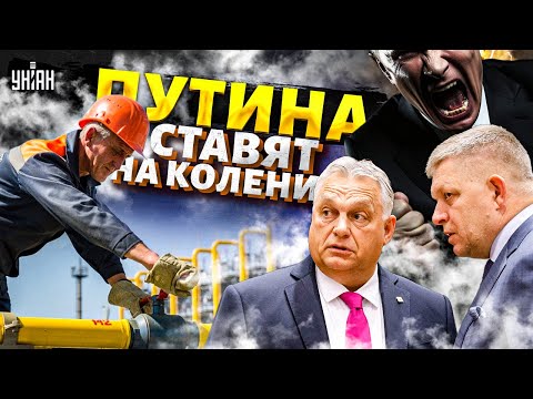 Этого удара Путин не переживет! Газовой империи РФ – ТРУБА. Орбан и Фицо остались с голой попой