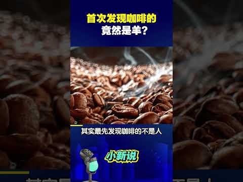 首次发现咖啡的竟然是羊？#shorts  #咖啡 #发现咖啡 #羊