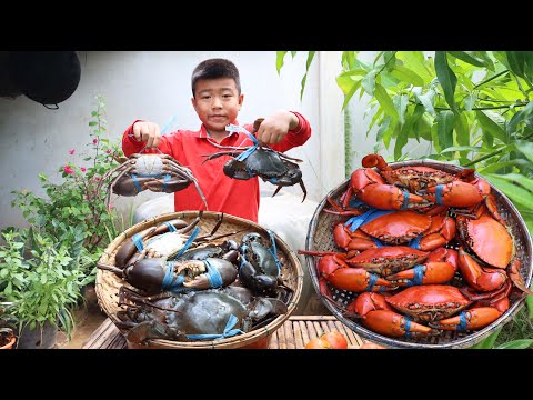 '' Big mud crab recipes '' Yummy mud crab curry cooking - Chef Seyhak