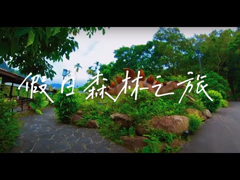 新北景點|搭著公車來趟溫泉之旅吧~ 沒想到住飯店也可以包棟阿!!  #新北住宿 #大板根森林溫泉酒店 #公車之旅 #溫泉 #飯店開箱