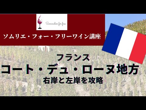 コート・デュローヌ編【2023年 Sommelier for free ワイン講座】