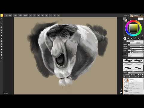 Quick painting timelapse - Proboscis Monkey in Magma Studio