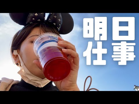 【ぼっちディズニー】関西住みOLが夜行バスで行く日帰り弾丸ひとり旅vlog/ディズニーシー散歩