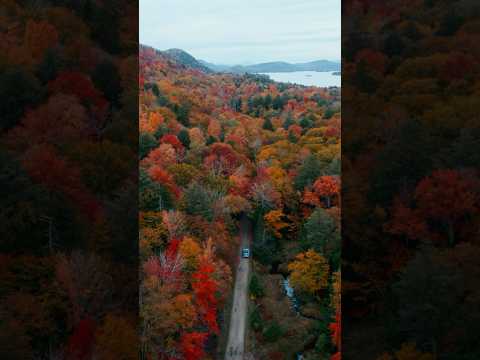 🍂  Autumn in Rural America #tranquilcountryside #autumn #fallfoliage