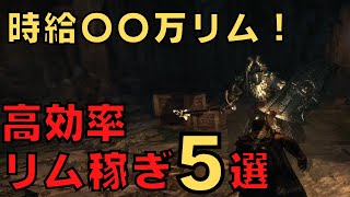 【ドラゴンズドグマダークアリズン】高効率リム稼ぎ方法5選【DDDA解説】