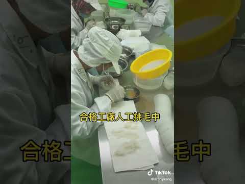 打造頂級燕窩 深入探訪 馬來西亞紅樹林保護區 燕屋 金絲燕