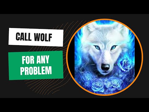 Call Wolf for any help